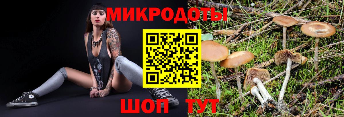 Красногорск  Галлюциногенные грибы GOLDEN TEACHER  Вход с VPN  Галлюциногенные грибы Psilocybine cubensis 